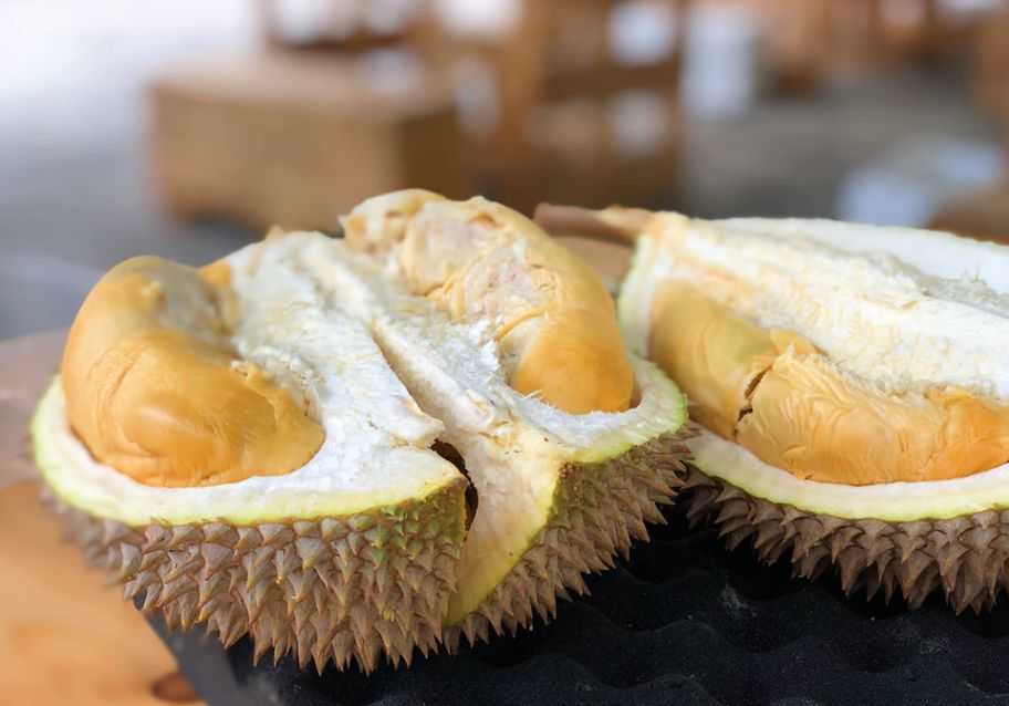 Durian Consumption Banned in Some Public Spaces in Brunei, Indonesia and Malaysia